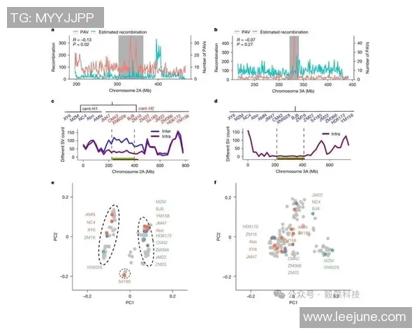 深圳篮球队速度表现分析:数据揭示球队快攻效率与比赛胜负关系 深圳篮球队速度表现分析:数据揭示球队快攻效率与比赛胜负关系